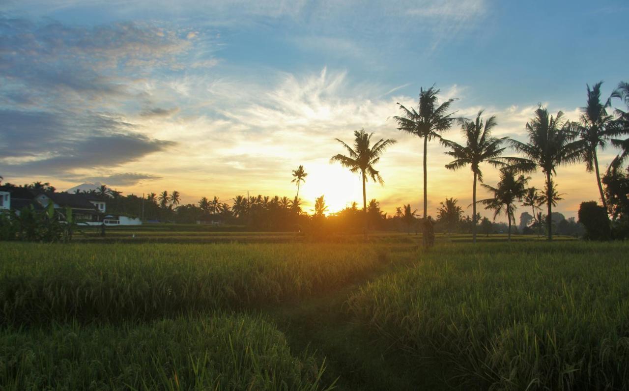 Griya Private Villa Ubud Exterior foto